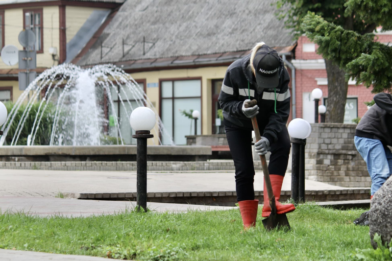 image image (97).jpg